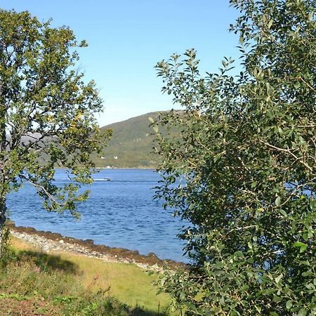 Kvaloya Lodge Futrikelv Bagian luar foto