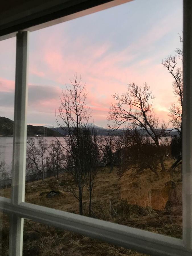 Kvaloya Lodge Futrikelv Bagian luar foto