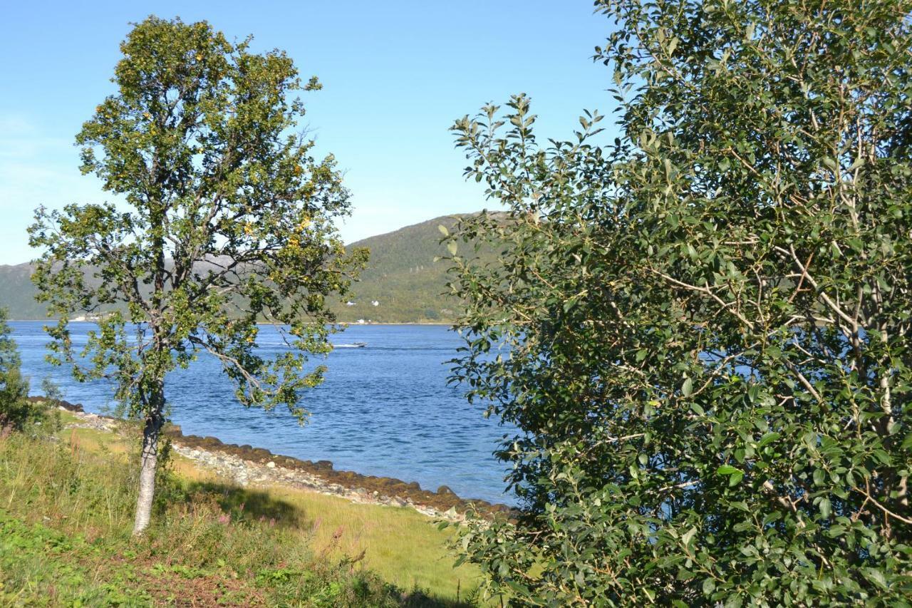 Kvaloya Lodge Futrikelv Bagian luar foto